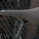 Image for article titled Brooks Cambium Review: Never Break In a Bike Saddle Again